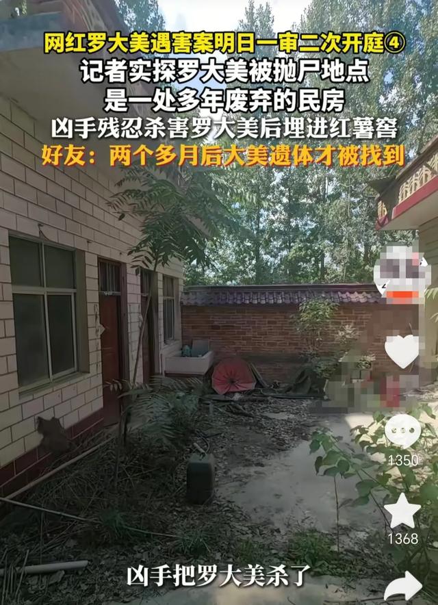 罗大美案一审开庭,三个凶手当庭翻供,网友质疑!
