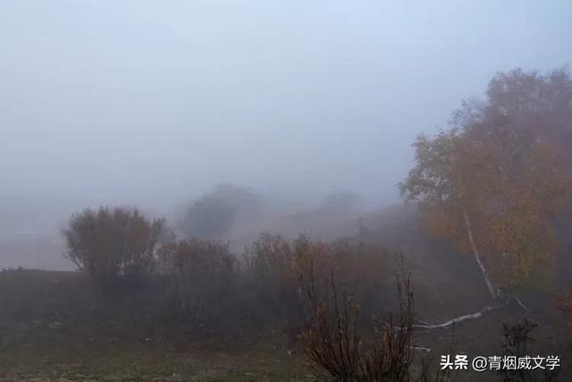 雾锁红泉谷