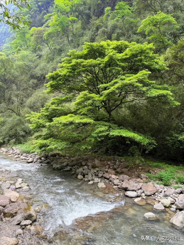 2h直达！重庆耍水天花板！比漂流更过瘾、更清凉