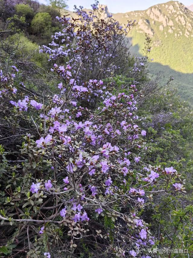 成功登顶母太子山