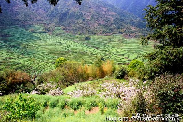 婺源篁岭旅游札记[三]（江西之旅第四十五篇）