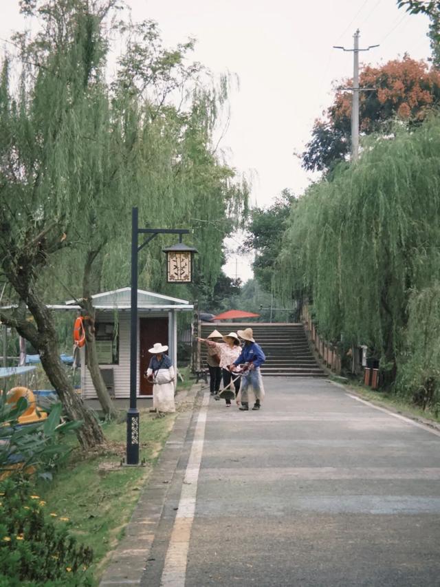 在成都西北郊区，这个渐渐淡出视野的最美乡村，还值得一去吗？