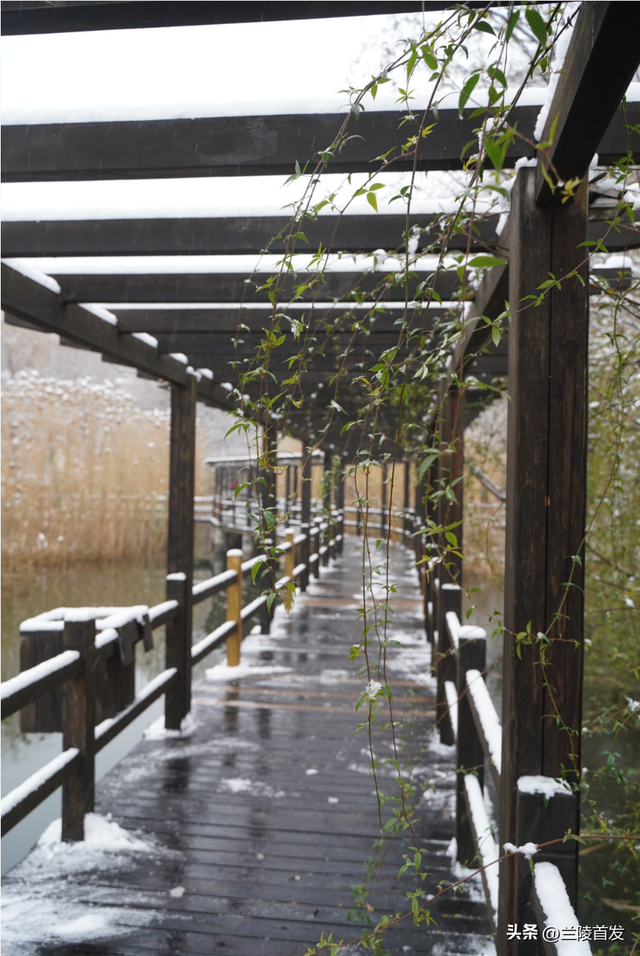 好客山东好品山东｜兰陵县压油沟冬日限定