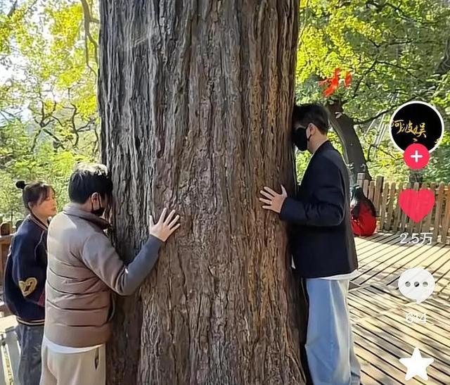 李乃文也没想到，朱媛媛离世仅半年，辛柏青已经走上了另一条路