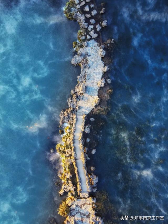 51张照片告诉你，南京的秋天有多美！