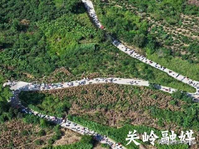走进100个美丽乡村第48站：观世界第一高桥 赏峡谷山海奇观