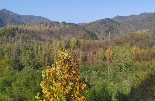 汝阳韭菜凹玉皇庙游记