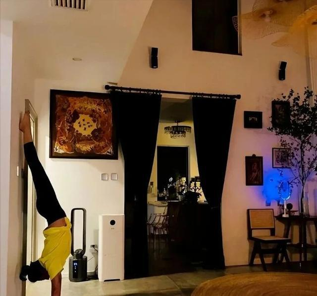 46岁殷桃的“豪宅”又火了，仅一院子就圈粉无数	，那叫一个壮观！