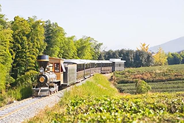 江苏一座新生景区，开业未满一年，跻身文旅成“现象级”标杆