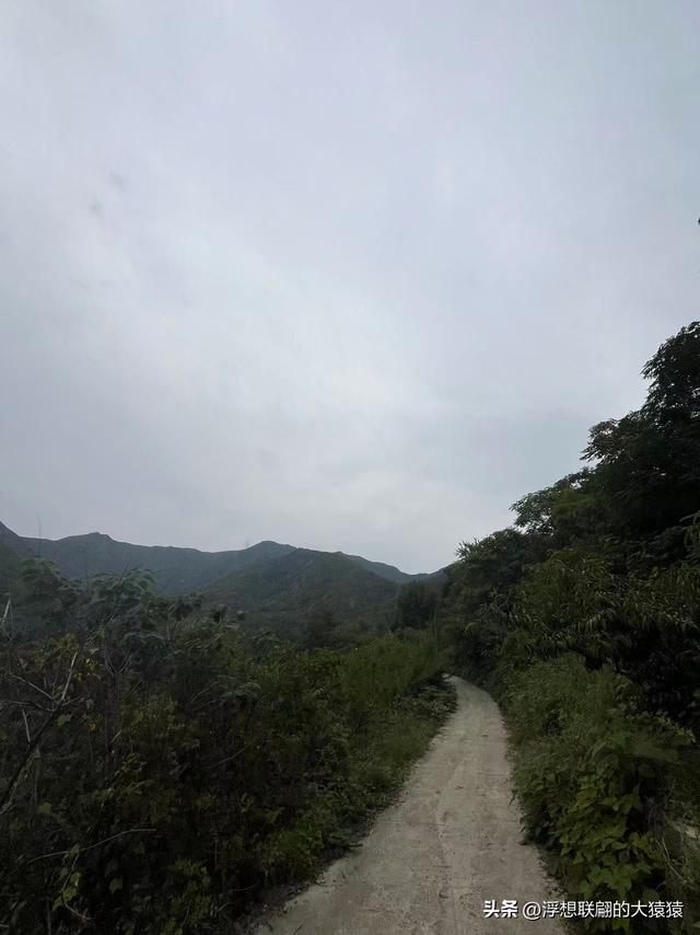 在邹平上回村可以攀爬摩诃峰，但俺没爬，俺买了农家菜打了山泉水