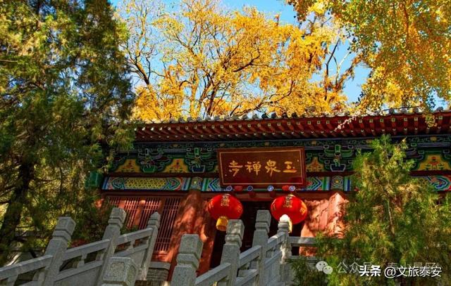 千万别在秋天来泰安，不然真的很难戒断