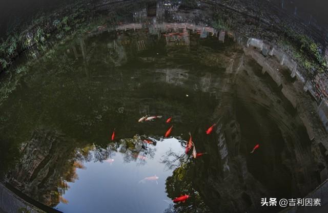 超前与浮夸