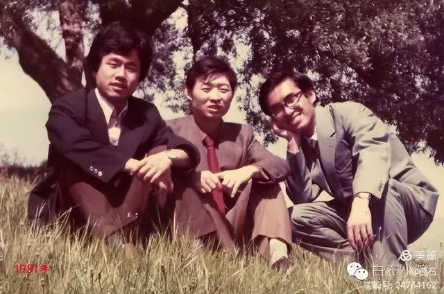卡拉布里亚大学的松树