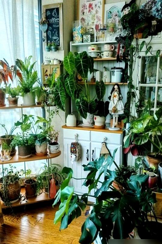 “阴花不能进阳宅”。家里若有这5种花,请赶紧搬出去！