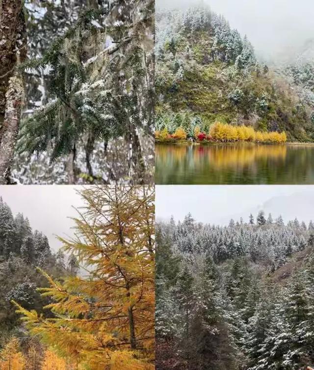 秋假追雪毕棚沟，没想到被安德服务区圈粉了！