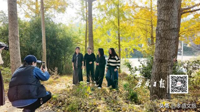 银杏黄了!孝感最美打卡地藏在这里,快来拍同款!