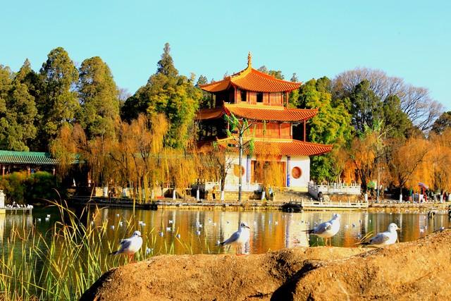 大量美国游客涌入昆明，打着旅游幌子不去旅游不吃美食	，为啥来？