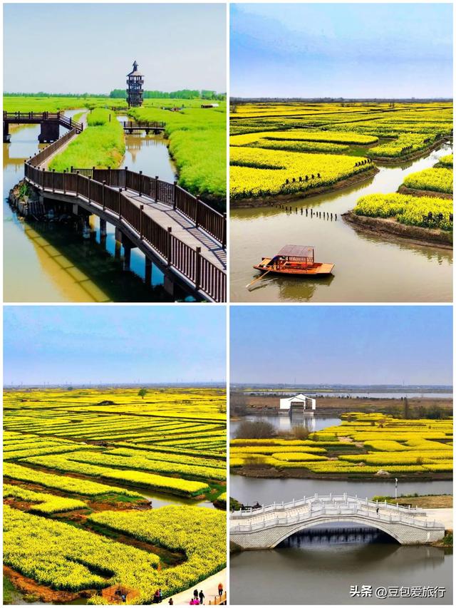 泰州深度漫游指南：五日沉浸水城，赏人文品美味不赶路
