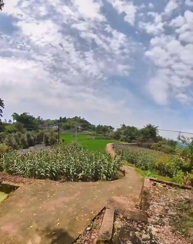 重庆北碚有一座濒临消失的古寨，寨主竟曾是美国总统罗斯福的同学