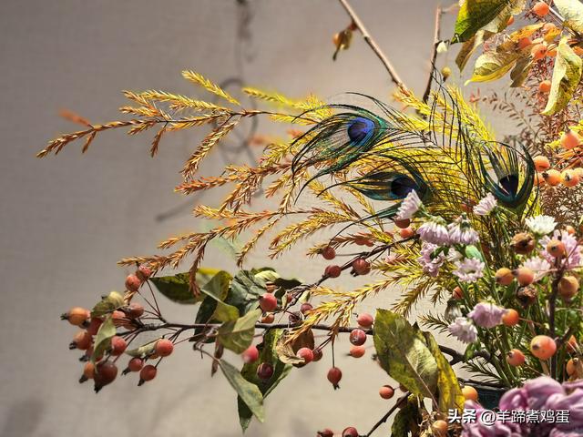 秋风独宠一园菊，晚来香艳出樊篱——北京北海公园2025年菊花展