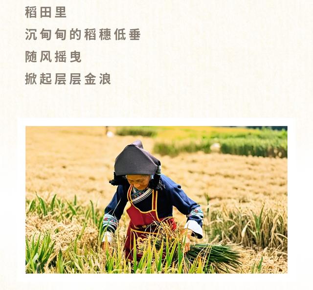 山水间最动人的烟火