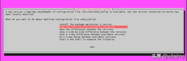 如何从 Ubuntu 24.04 升级到 Ubuntu 25.04？
