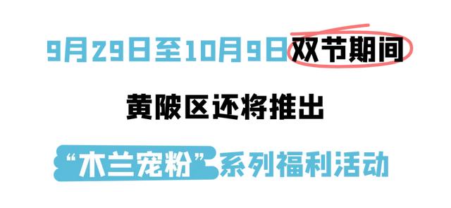 国庆双节8天乐！黄陂120项优惠享不停