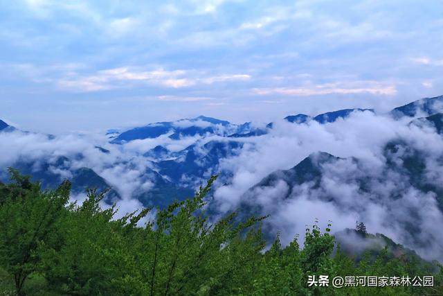 五一宝藏旅行地！2h直达秦岭天然森林氧吧