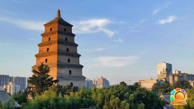 跟着“阳光大使”追光丝绸之路一一2026第一缕阳光系列报道之二