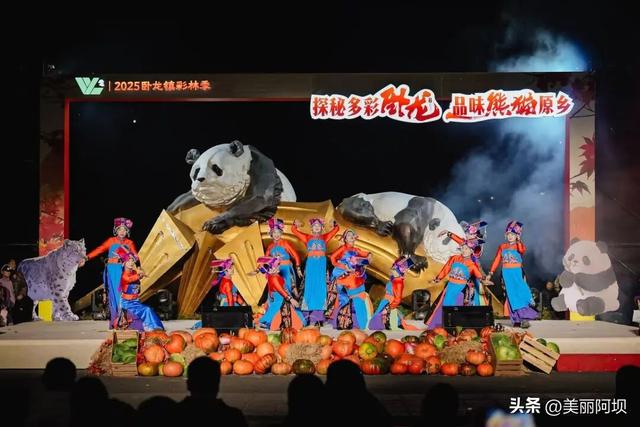 汶川县卧龙2025年彩林季系列活动正式启幕