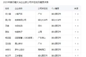 2025年黄石籍富豪排行榜（基于胡润富豪榜及公开数据综合整理）‌图片