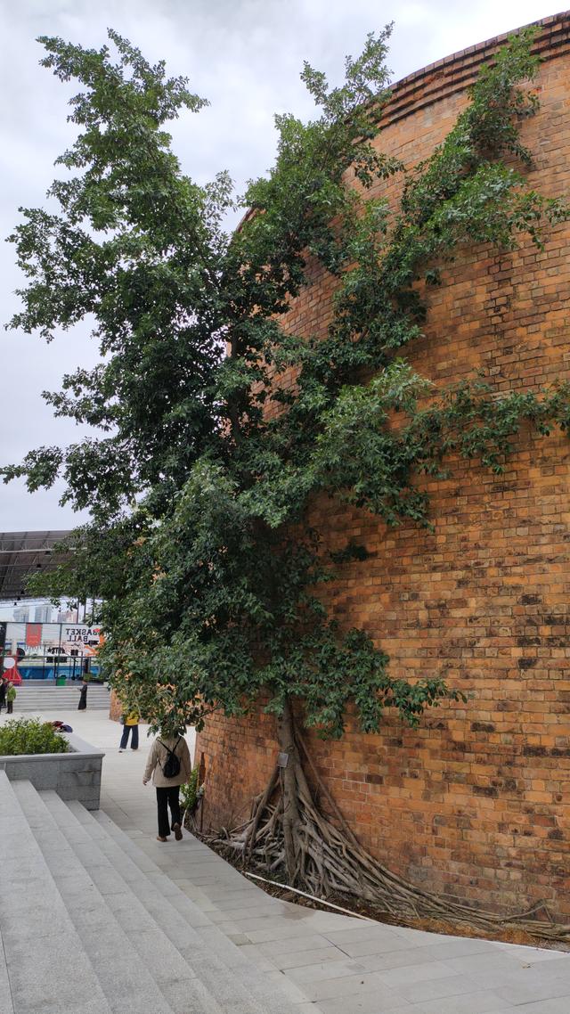 南宁新晋网红打卡地--新阳·石化里