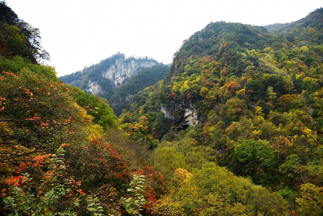 警告！深秋的徽县，千万别出门！因为……