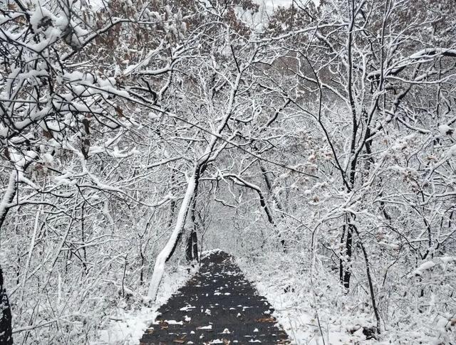 三条特色线路，共赴山亭冬日之旅