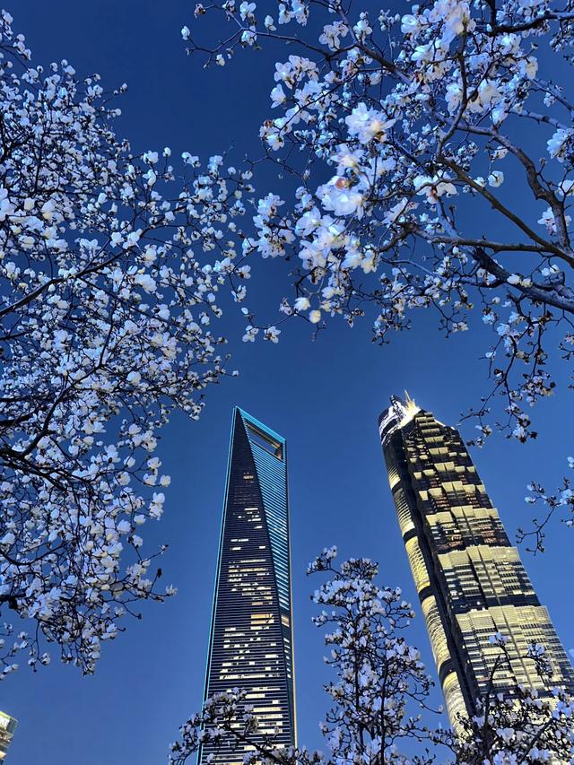 太治愈了！国内最适合一个人发呆的8个地方，放空自己！
