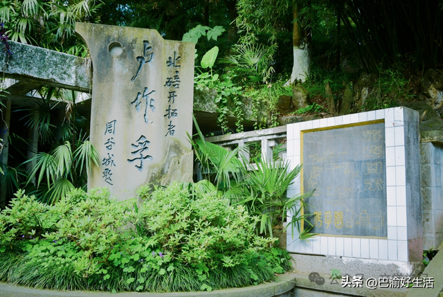北碚公园竟是"大熊猫"命名地，原来藏着这么多秘密