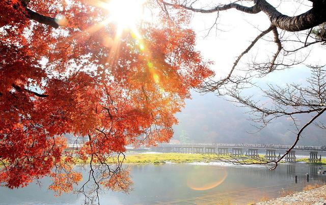 说起红叶就知道栖霞山和天平山？江南赏秋花样不要太多
