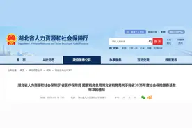 湖北2025年度社保缴费基数标准公布图片
