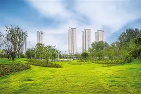 只争朝夕抓发展 比学赶超争一流——南阳市城市更新提质暨中心镇建设工作观摩活动侧记图片