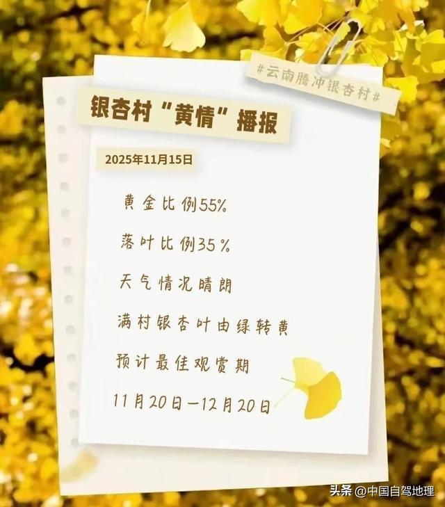 云南这条低调的超级公路，早该火了！|中国自驾地理