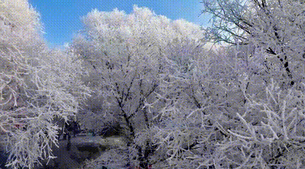 这一站，长沙！长春都市圈实力“圈粉”~