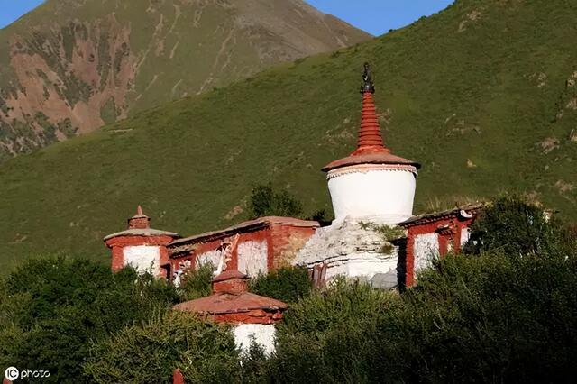 高原泡温泉竟与蛇共浴？当地人：那是药蛇别怕