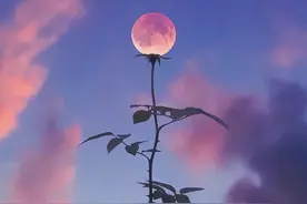 月亮拍了拍你｜适合朋友圈发的高质量中秋文案图片