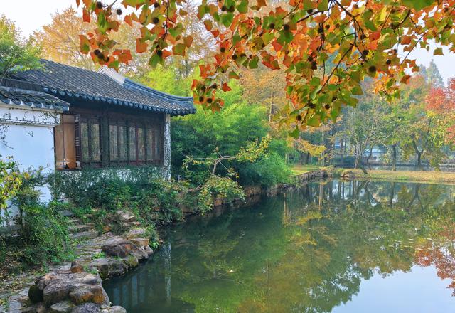 又见天平山：一叶知秋，一枫醉心