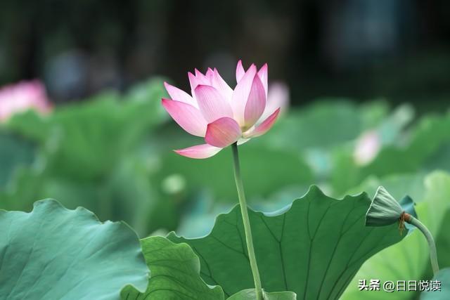 湖北荆州夏日清凉指南，这些避暑地你不可错过