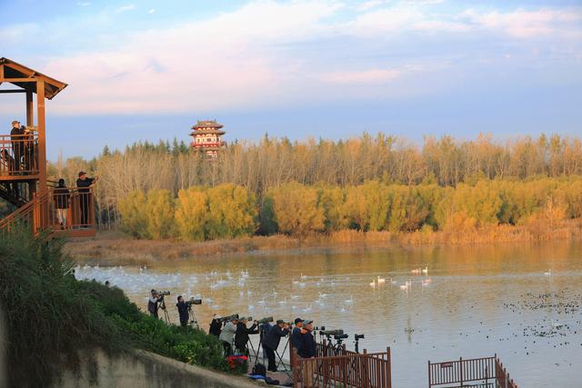 河南文旅力推三门峡：为何这座豫西小城能稳站文旅C位