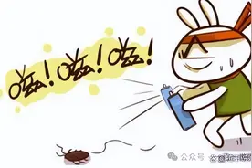 不能再用“樟脑丸”驱赶蟑螂！房间内放1个它，蟑螂“集体”消失图片