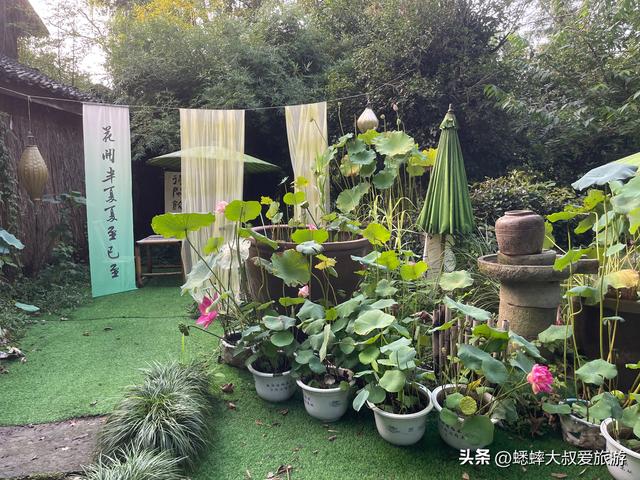 西溪湿地公园游玩攻略：三大区域吃喝玩乐，最低0元游，推荐收藏