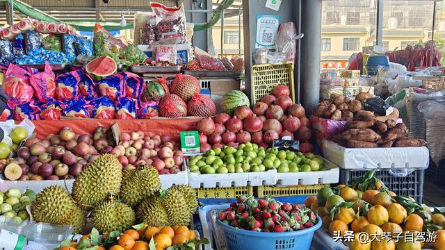 2024年退休金多少，能放心自驾游？老司机掏心窝唠实在的！