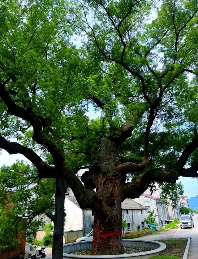 退休旅居三年，这 5 个冷门小城藏着治愈焦虑的密码！去过都不想走